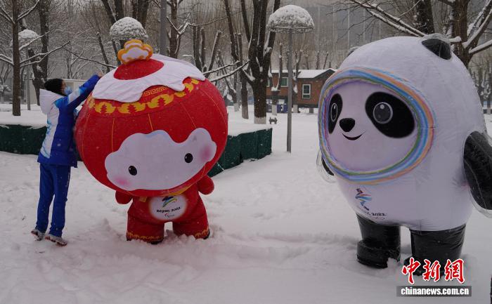 米兰冬奥村再度迎来大熊猫：以中国热情与善意